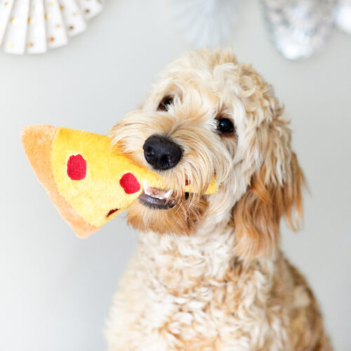 NomNomz Pizza Zippypaws 4